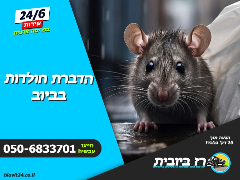 הדברת חולדות בביוב